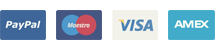 icon payment